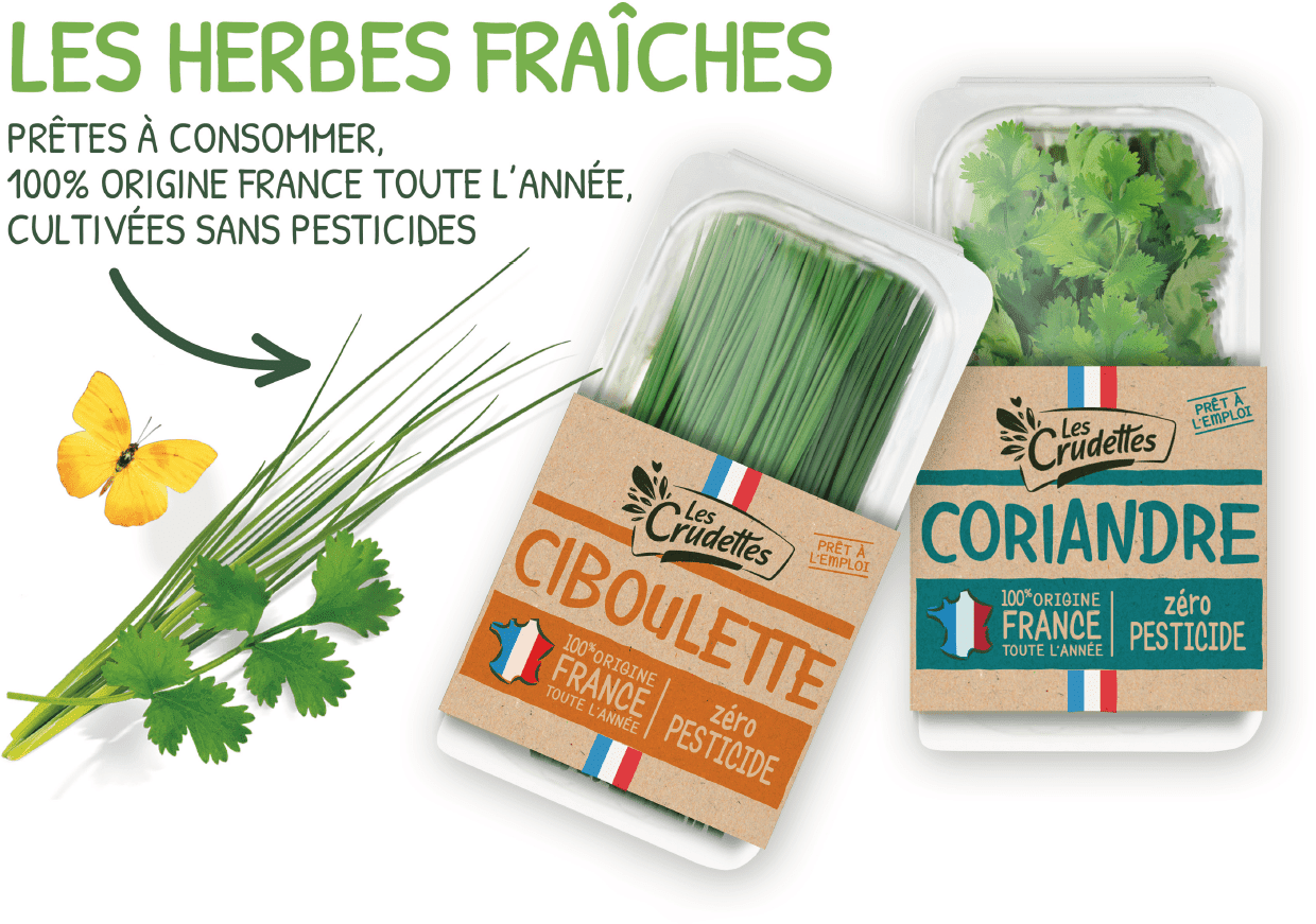 VIKIU LES CRUDETTES 2 VIKIU LES CRUDETTES 2